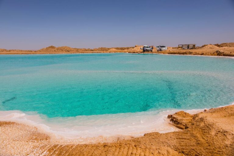 How can you enjoy your vacations  in Siwa Oasis and the White Desert?